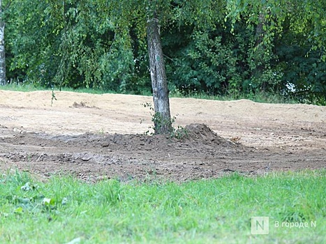 Нижегородец сравнил секс на газоне и поручень в автобусе