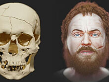 Восстановлено лицо «реального вампира», жившего 400 лет назад