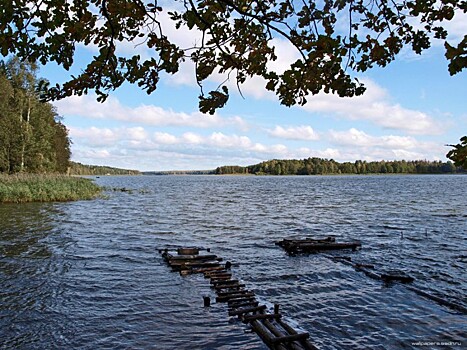 Реабилитировать Людиновское водохранилище оказалось некому