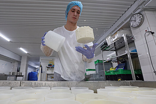 Уральские сыроделы научились делать сыры не хуже, чем в Европе