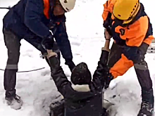 В Барнауле девушка во время прогулки с лабрадором упала в колодец