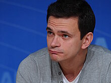 Яшина арестовали на 15 суток
