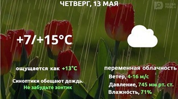 Прогноз погоды в Калуге на 13 мая