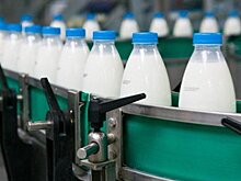 Россельхознадор раскрыл мошенничество при производстве молока в Белоруссии