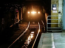 На серой ветке московского метро случился сбой из-за человека на путях