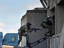 Стало известно число награжденных званием «Герой России» сотрудников ОМОН