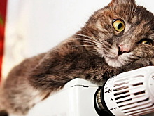 Красноярцам объяснили, почему в платежках за февраль подорожало отопление