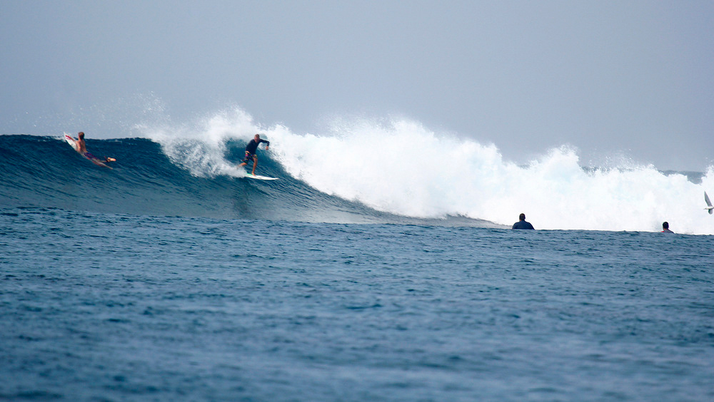 Школа Серфинга Surf Holidays, Мале, Мальдивы, Азия