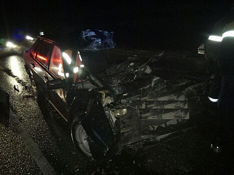 В Крымском районе погиб водитель легковушки, протаранившей КамАЗ