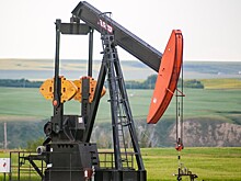 В «Газпром нефти» рассказали о влиянии возврата к топливному демпферу