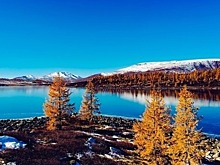 Депутат рассказал о разработке проекта по очистке российских рек