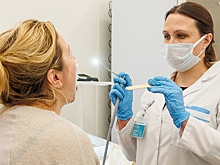 В России отметили рост случаев мышиной лихорадки