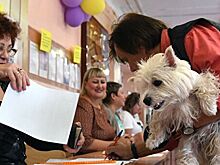 Явка на выборах губернатора Вологодской области к 10 утра составила 5,63%