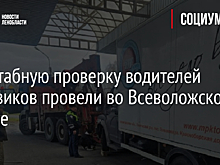 Масштабную проверку водителей грузовиков провели во Всеволожском районе
