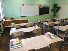   Правоохранители негативно оценили опыт Воткинска по отказу от «живой» охраны в школах  