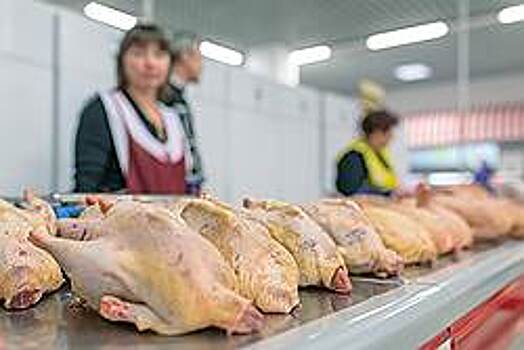 «Абирег» собрался выразиться в Страсбурге