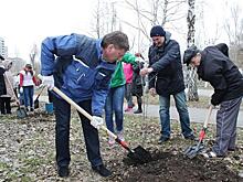 Глава Самары Олег Фурсов принял участие в общегородском субботнике