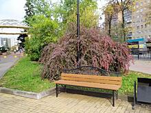 Курян приглашают на встречу в Реальное место