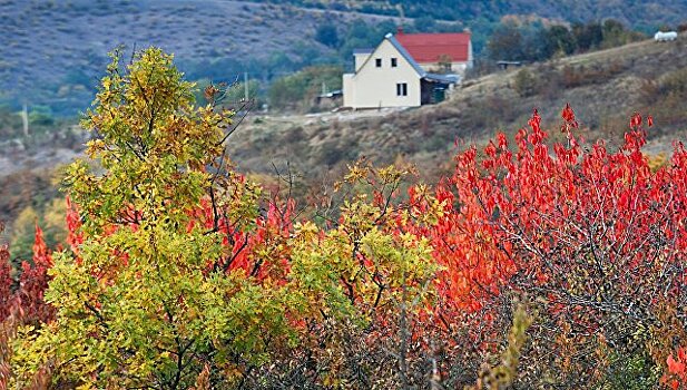 В Крыму рассказали о росте спроса на отдых в осенне-зимний период