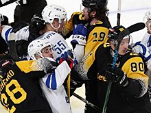 В конце матча «Северстали» и «Динамо» произошли массовая стычка (ВИДЕО)