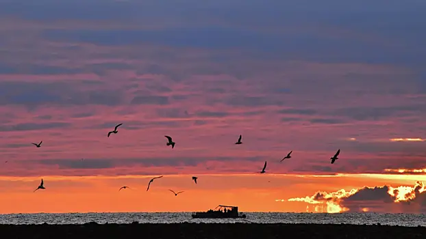 В России раскрыли, кто помог ВСУ атаковать российский танкер в Черном море