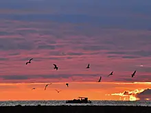 В России раскрыли, кто помог ВСУ атаковать российский танкер в Черном море