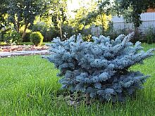 «В силу разных причин Владивосток не получил те объекты, которые могли бы улучшить его лицо» — депутат