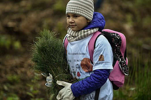 В Наро‑Фоминске высадили 80 тыс саженцев в ходе акции «Наш лес. Посади свое дерево»