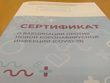 Саратовского врача уличили во взятках за фиктивные сертификаты о вакцинации