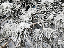 Морозы до -9°C придут в Нижний Новгород 5 декабря