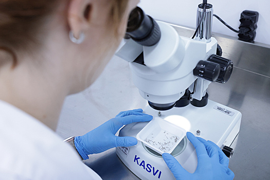 Биолог призвал не бояться супербактерий с Украины