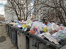 Ситуация с вывозом мусора в Новосибирска стабилизируется