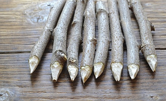 Россияне закупились оружием против вампиров