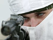 Снайперы из США и Британии заброшены на остров Большой Потемкин у Херсона