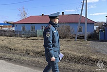Инспекторы начали искать в окрестностях Кемерова злоумышленников-шашлычников