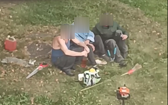 Соцсети: пьяные рабочие превратили кусты в "убожество" в кузбасском городе