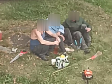 Соцсети: пьяные рабочие превратили кусты в "убожество" в кузбасском городе