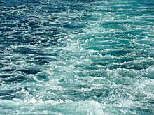 Почему морская вода — это самый опасный в мире яд