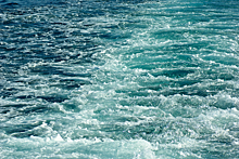 Почему морская вода — это самый опасный в мире яд