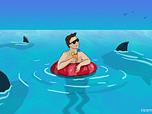 Заплывы с акулами на Мальдивах назвали безопасными