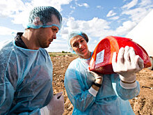 Россия увеличила поставки растворимого кофе в Европу, а чая - в Китай