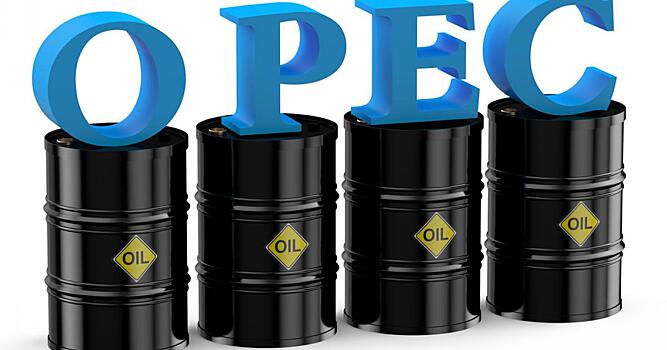 На рынке нефти ждут прогнозов от ОПЕК и МЭА