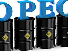 На рынке нефти ждут прогнозов от ОПЕК и МЭА