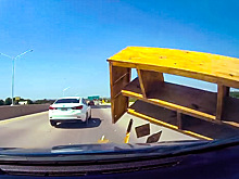 Чего только не встретишь на дорогах