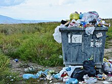 В 2020 году количество выбрасываемого мусора в Оренбуржье увеличилось на 37,5%