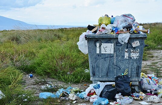 В 2020 году количество выбрасываемого мусора в Оренбуржье увеличилось на 37,5%