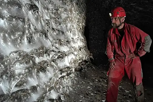 Обнаружена чудовищная паутина с сотней тысяч пауков