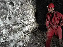 Обнаружена чудовищная паутина с сотней тысяч пауков