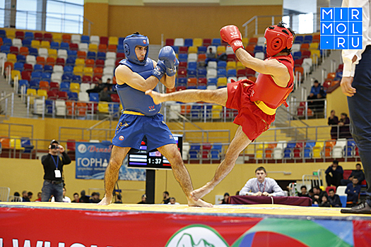 Ушу-саньдаисты Дагестана разыграли медали чемпионата республики