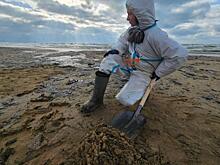 Курские спортсменки участвовали в очистке пляжей Анапы от мазута